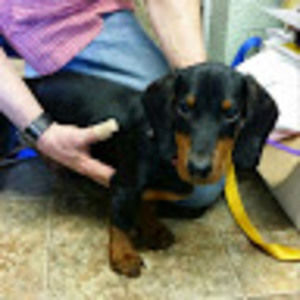 Meet your Posher, Mark